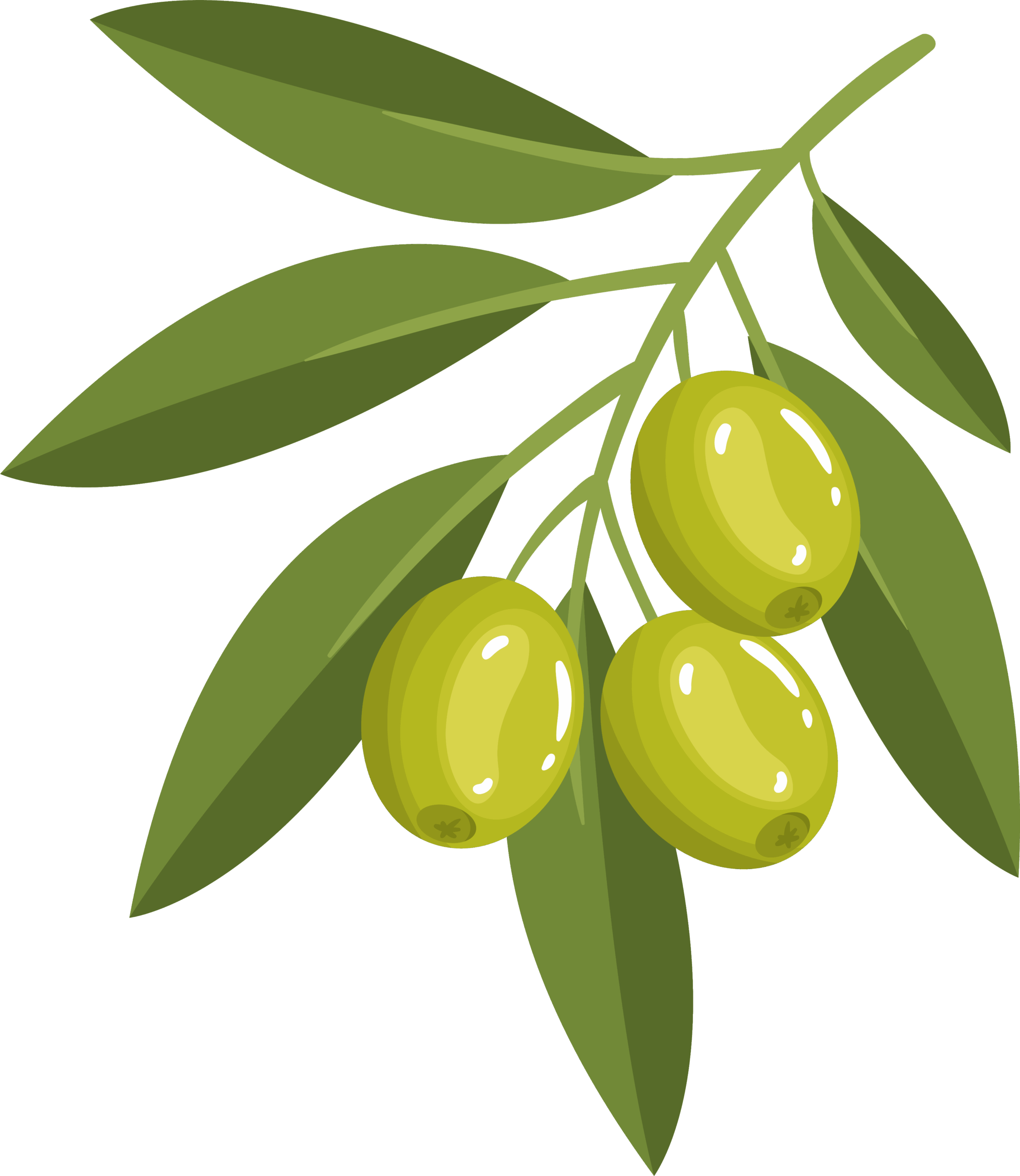 aceitunas